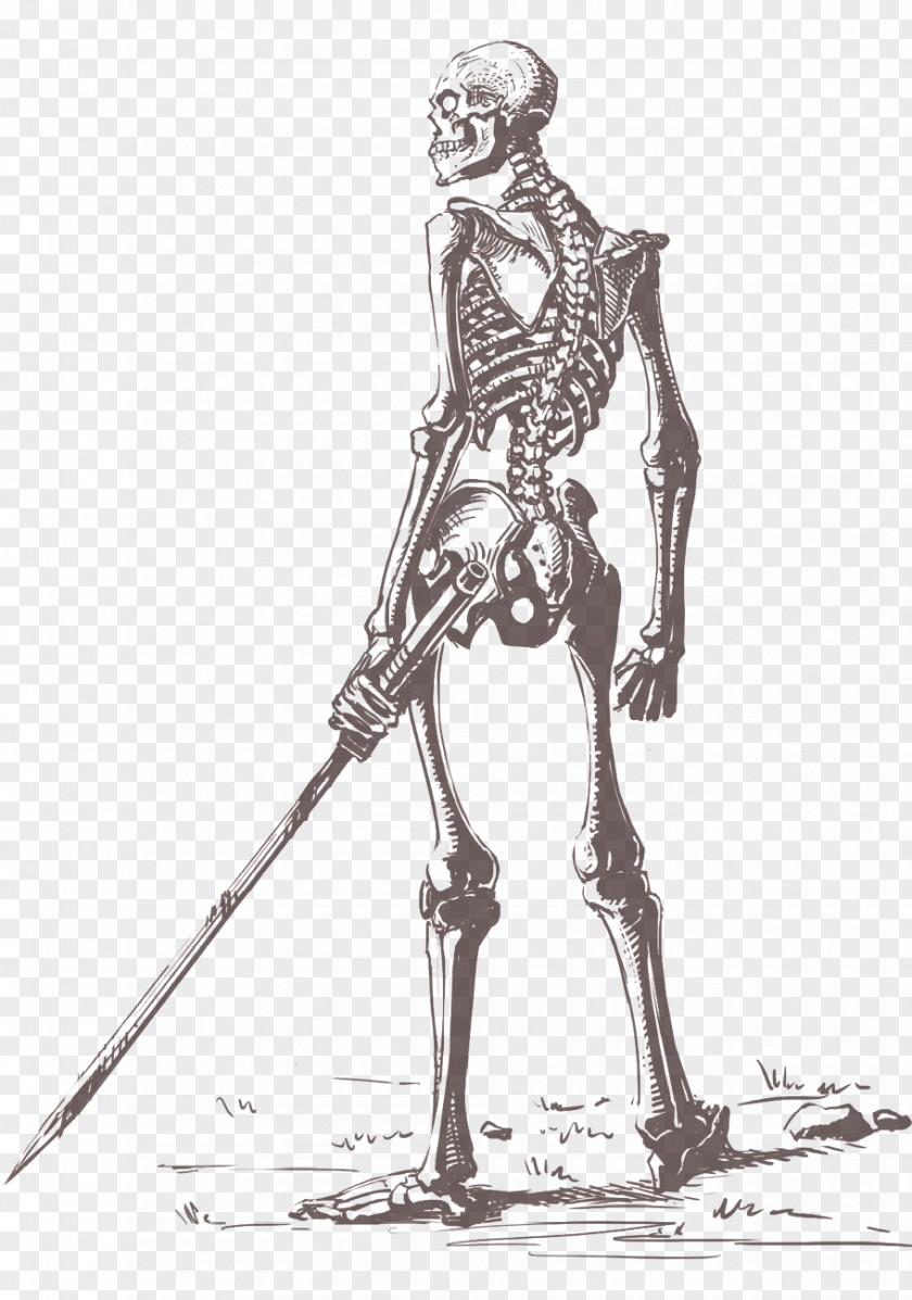Skeleton Hands Concept Art Sketch Illustration PNG