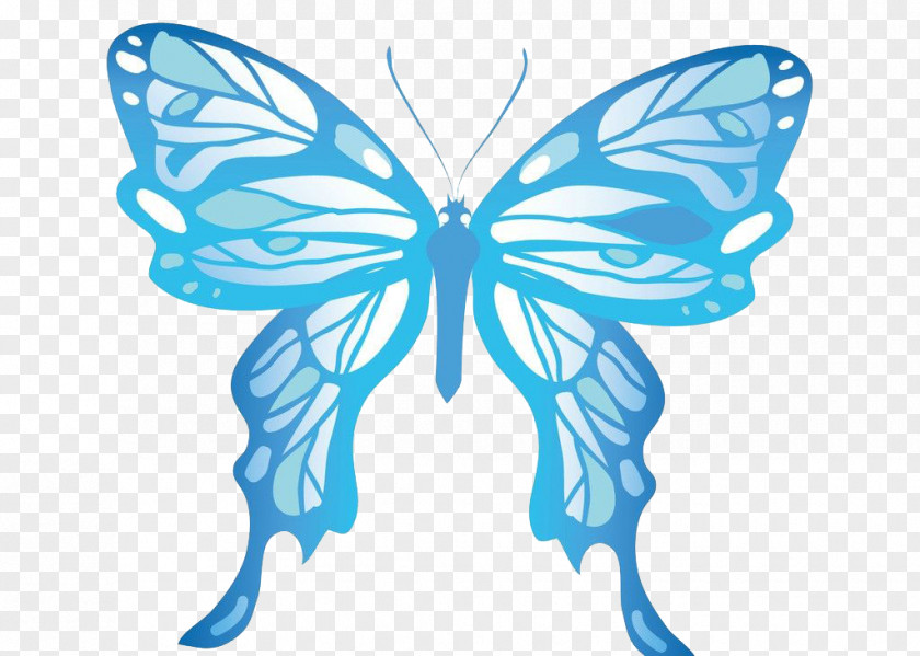 Blue Butterfly Monarch PNG