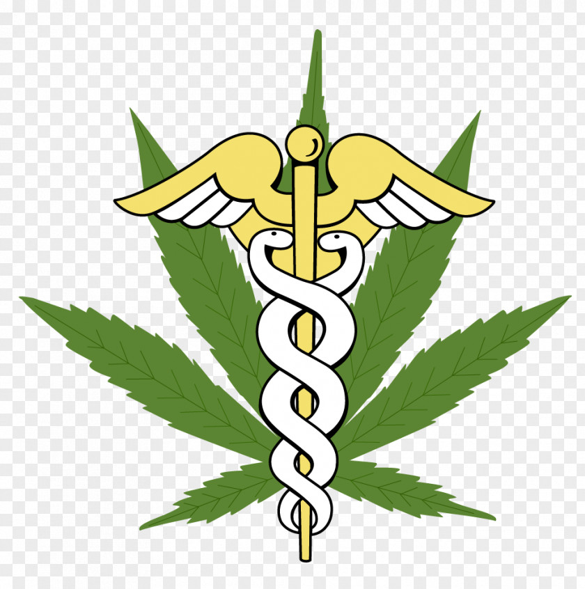 Cannabis Medical Medicine Marijuana Card Legality Of PNG