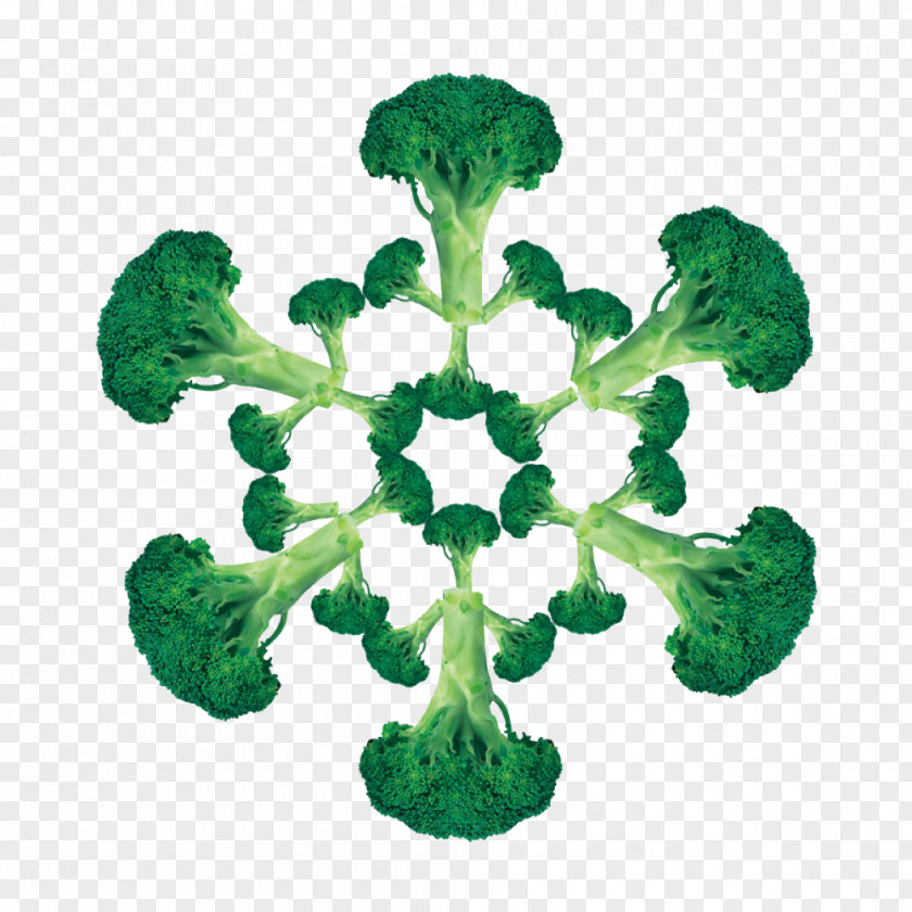 Cauliflower Pattern Snowflake Shape PNG