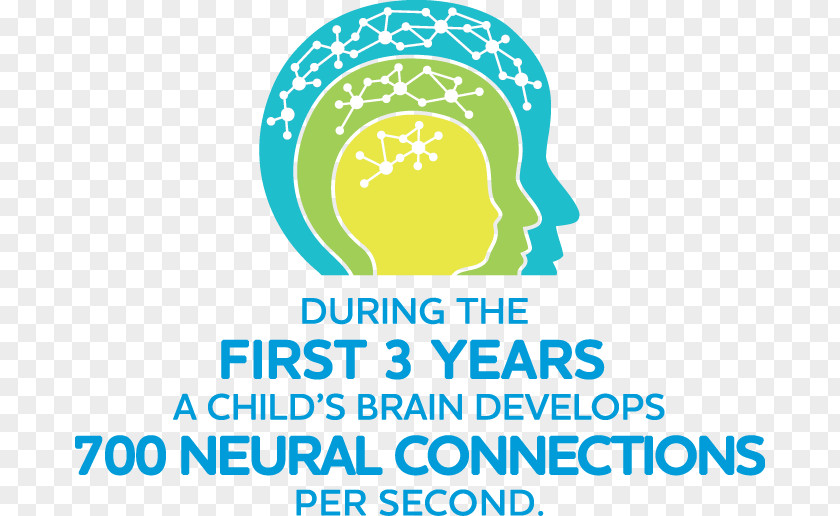 Child Development Infant Early Childhood Brain PNG