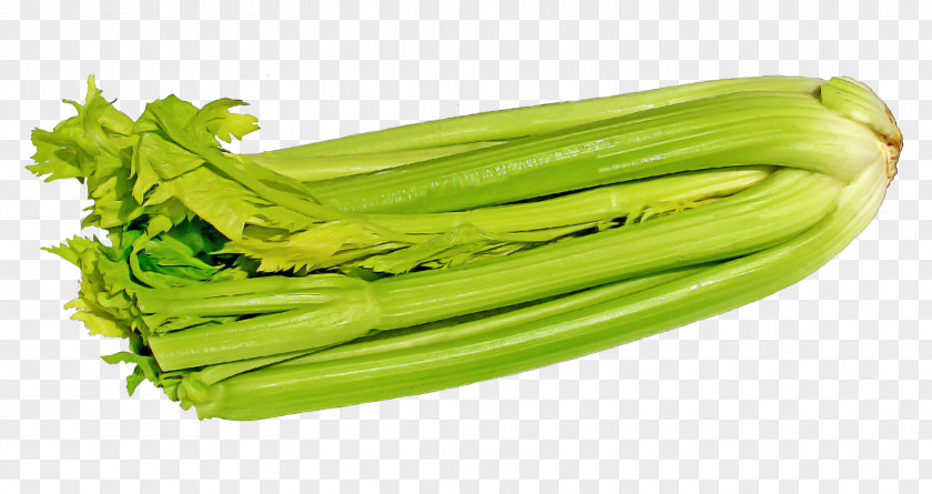 Green Celery Raw Foodism Vegetarian Cuisine Romaine Lettuce PNG