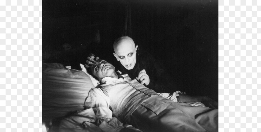 Vampire Count Orlok Dracula Film Director PNG