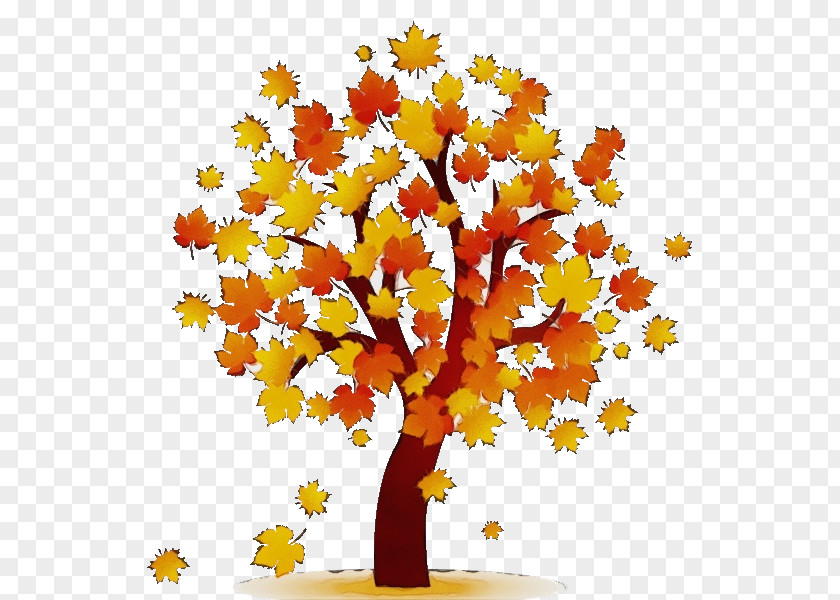 Autumn Flower Tree Yellow Leaf Plant Woody PNG