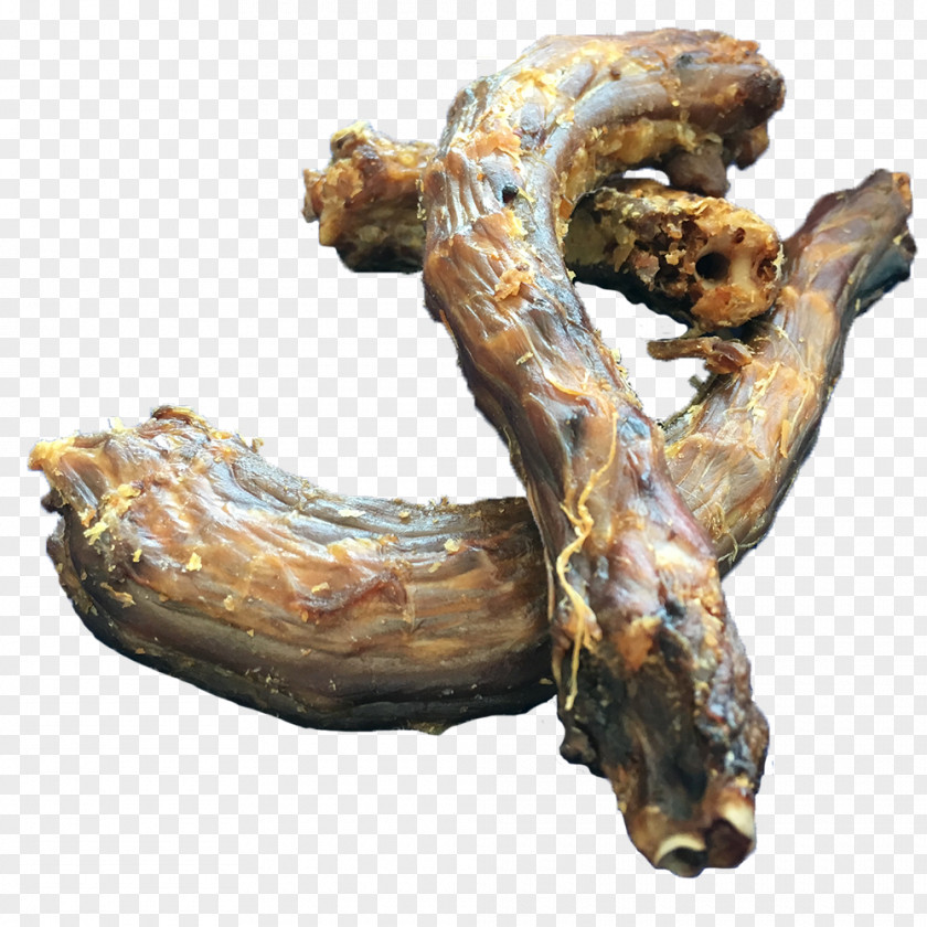 Jerky Fish Food Hondenspeciaalzaak Lupus Meat PNG