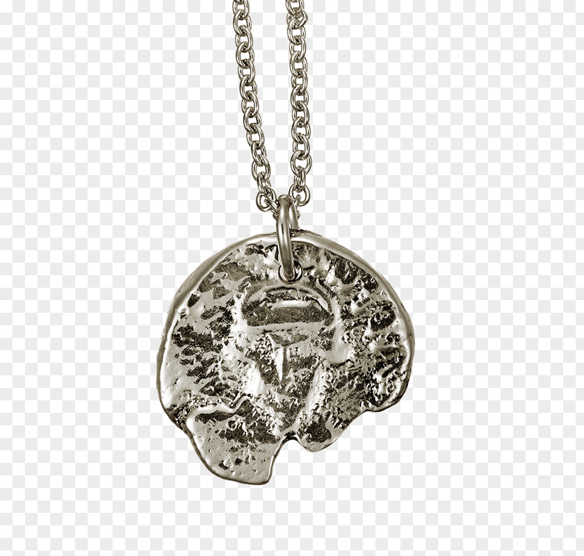 Jewellery Locket Kildare Brigid Celts PNG