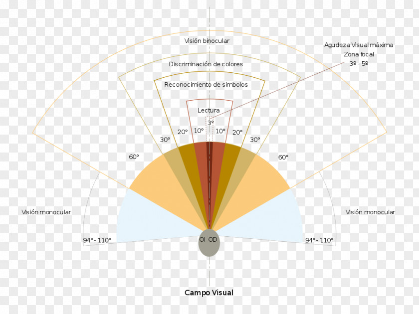 Campo Giove Peripheral Vision Eye Visual Perception Field Product Design PNG