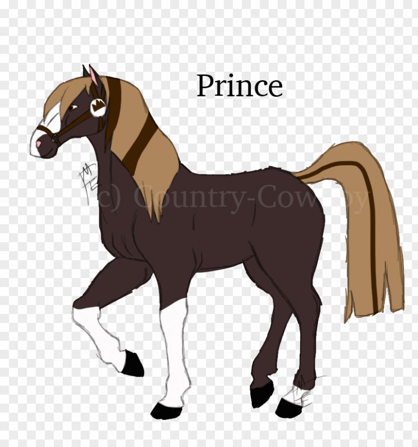 Cowboy Horse Racing Mane Mustang Foal Stallion Colt PNG