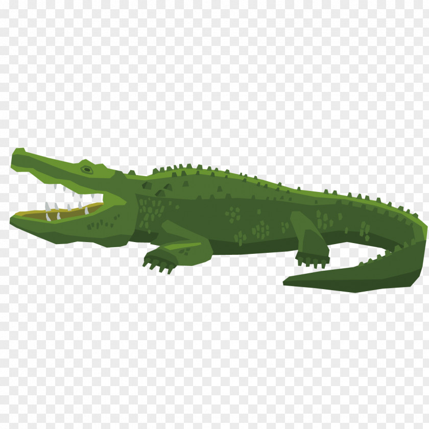 Ferocious Crocodiles Amphibian Reptile Euclidean Vector Stock Photography PNG