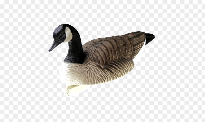 Goose Canada Duck Decoy PNG