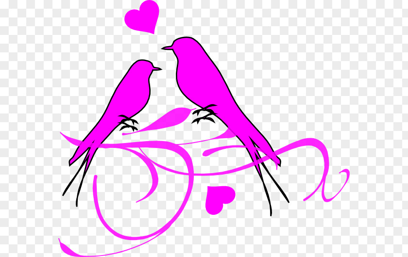 Pink Bird Lovebird Clip Art PNG