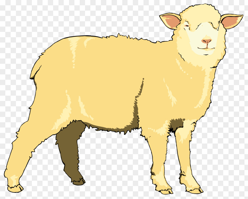 Sheep Cartoon Licence CC0 Download Clip Art PNG