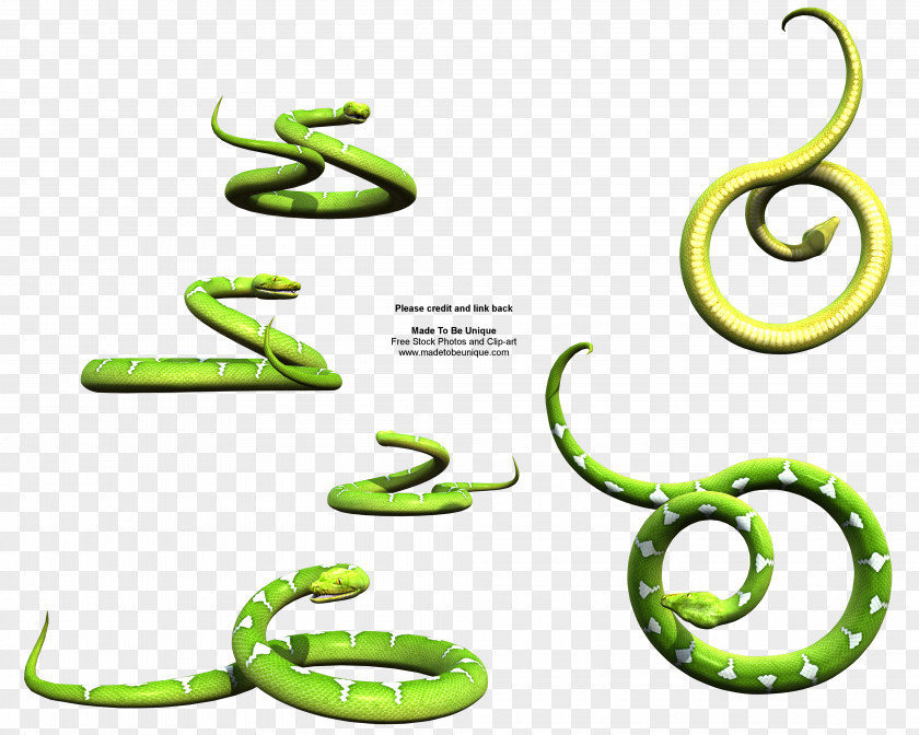 Snake Green Tree Python Clip Art PNG