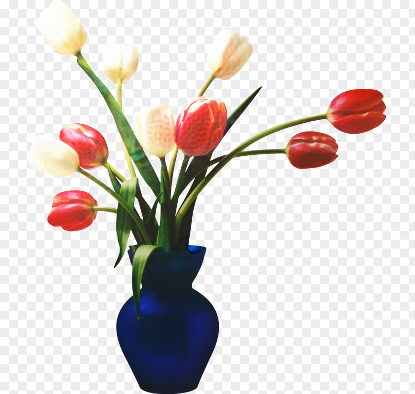 Desktop Wallpaper Flower Image Tulip Rose PNG