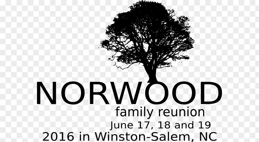 Family Reunion Quercus Cerris Tree Southern Live Oak Scarlet Acorn PNG