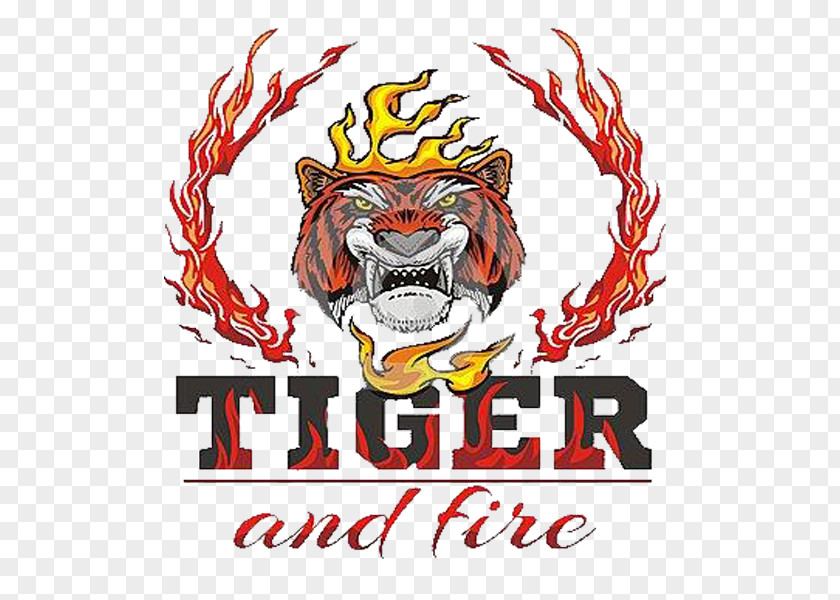 Fierce Flame Tiger Fire Drawing PNG