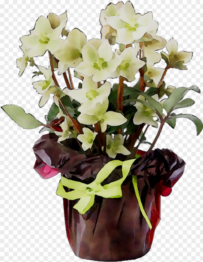 Floral Design Cut Flowers Hellebore Flower Bouquet PNG