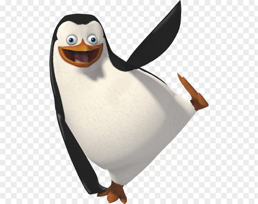 Penguin Image Madagascar Clip Art PNG