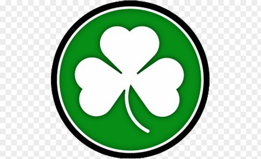 School Dublin Coffman High Pickerington North Republican Clipper Shamrock PNG