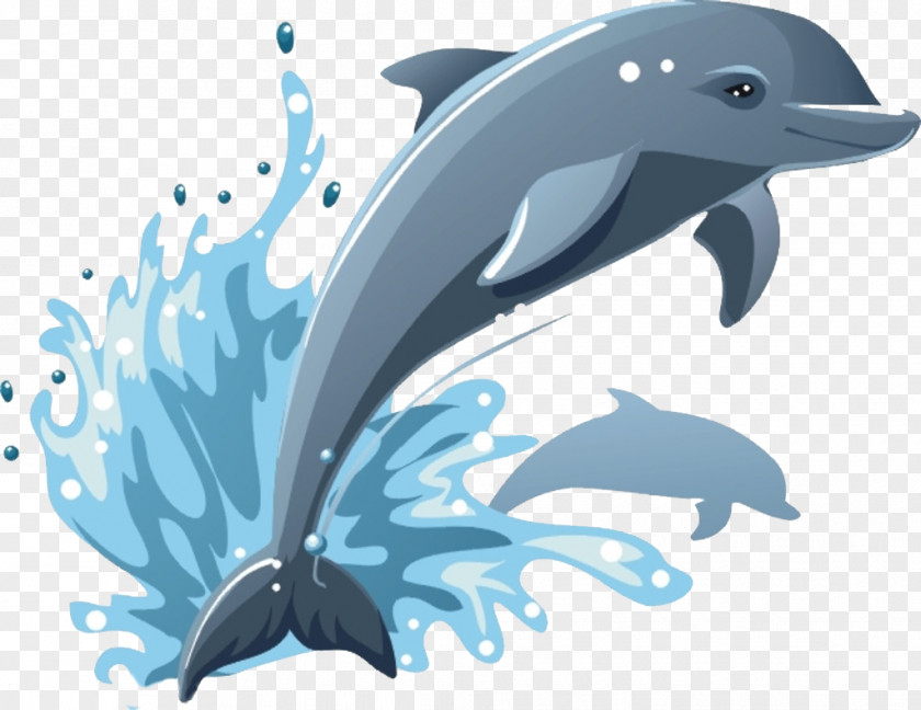 Whale Common Bottlenose Dolphin Drawing Clip Art PNG