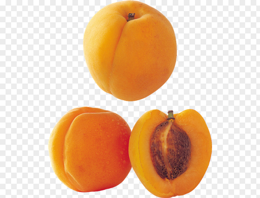 Apricot Fruit Longevity Peach Saturn PNG