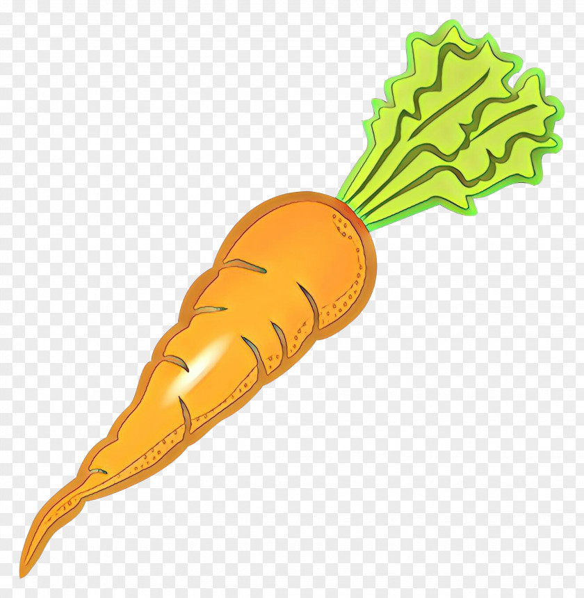 Carrot Vegetable Daikon Root Plant PNG