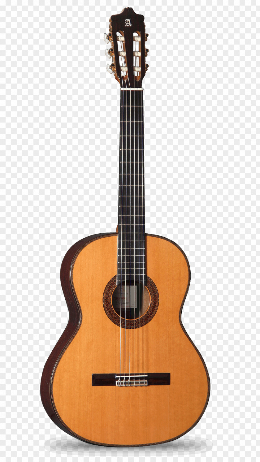 Classical Mullion Guitar Alhambra Cutaway Musical Instruments PNG