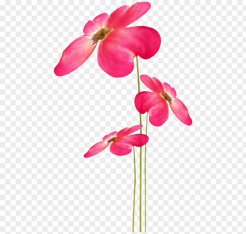 Flower Petal Clip Art PNG