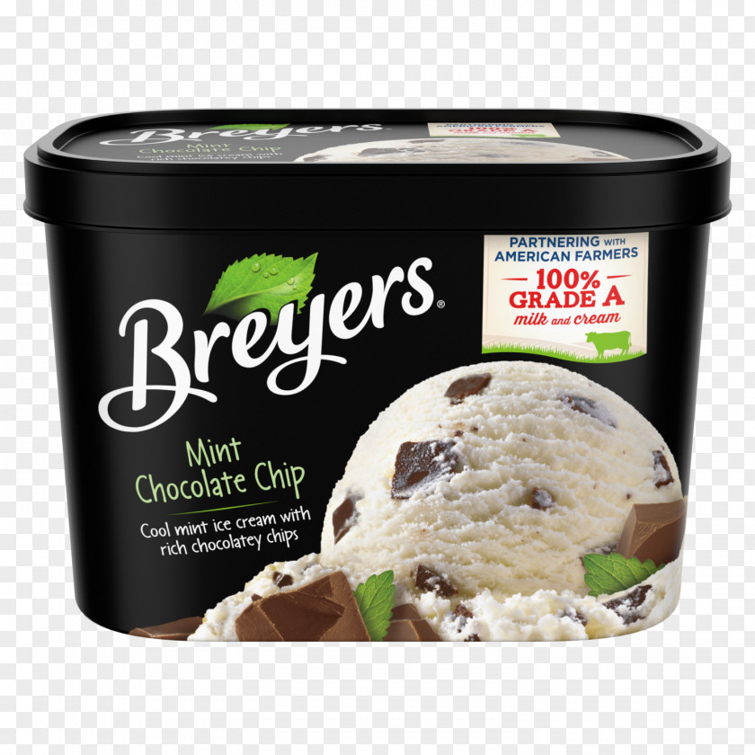 Ice Cream Mint Chocolate Chip Breyers PNG