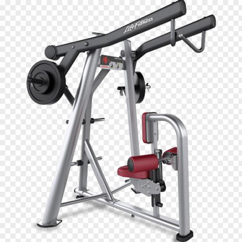 Row Fitness Centre Strength Training Biceps Curl Physical PNG