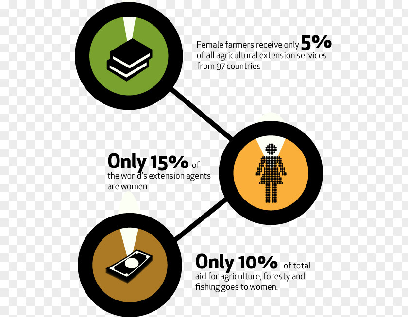 Woman Food And Agriculture Organization Infographic Sustainable Agricultural Extension PNG