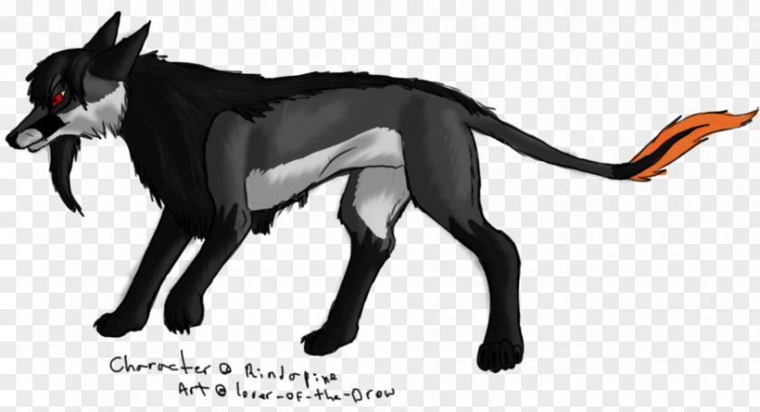 Drow Lovers Dog Breed Art Cat Legendary Creature PNG