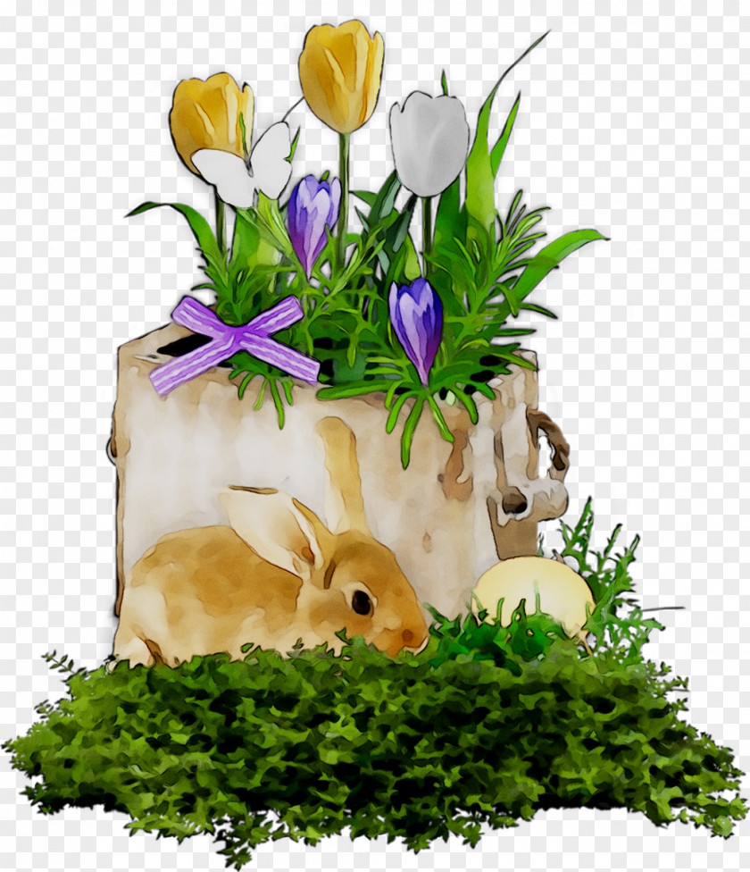 Easter Bunny Floral Design Hare Rabbit PNG