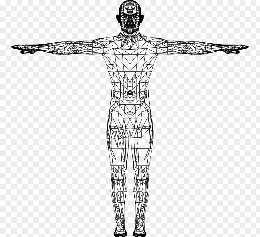 Low Poly Character Human Body Algorithm Clip Art: Transportation Homo Sapiens Anatomy PNG