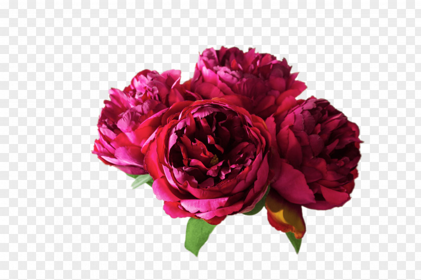Peony Image Flower Bouquet PNG