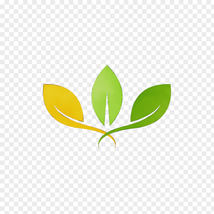 Plant Stem Leaf Logo Font Meter PNG