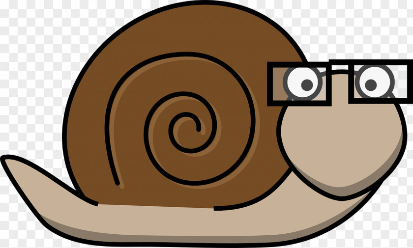 Snail Sea Clip Art PNG