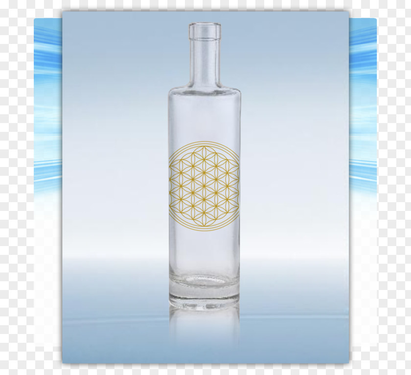 Vodka Glass Bottle Wine PNG
