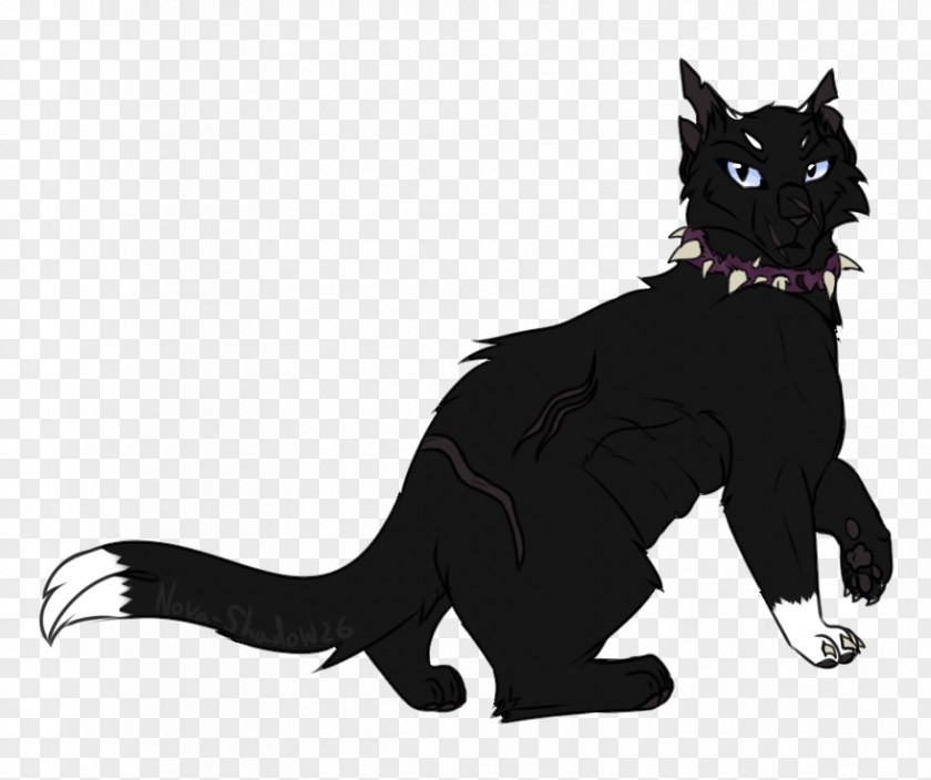 Cat Whiskers Dog Canidae Paw PNG