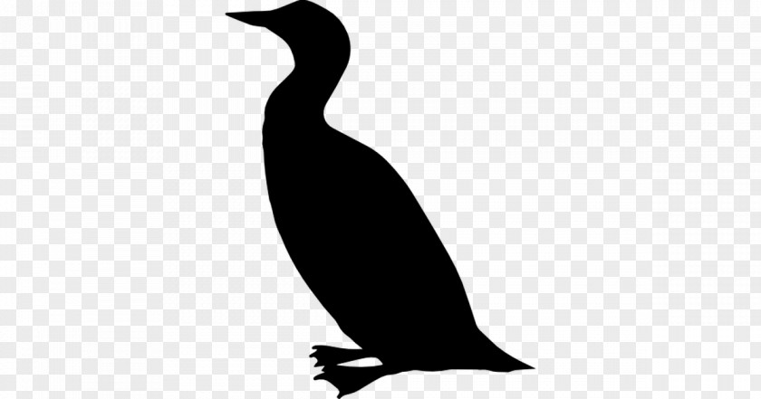 Duck Silhouette Bird PNG