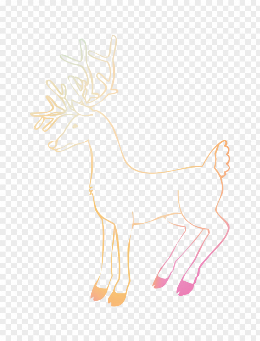 Reindeer Illustration Drawing /m/02csf Antler PNG