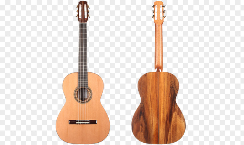Spanish Medieval Instruments Tiple Acoustic Guitar Bass Ukulele Cuatro PNG