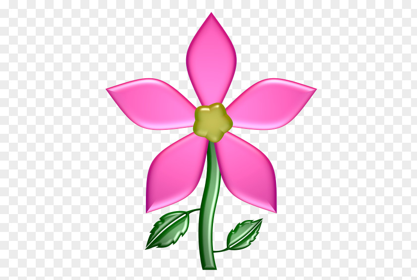 Flower Petal Cut Flowers Plant Stem Clip Art PNG