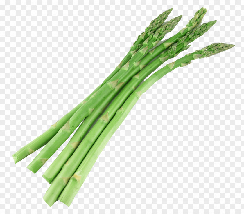Vegetable Asparagus Food Broccoli PNG