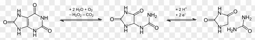 Allantoin Hydantoin Condensation Reaction Heterocyclic Compound Lactam PNG