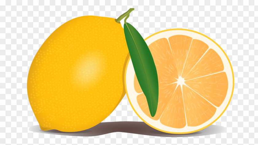 FIG Painted Lemon Yellow Sweet Rangpur Fruit Clip Art PNG