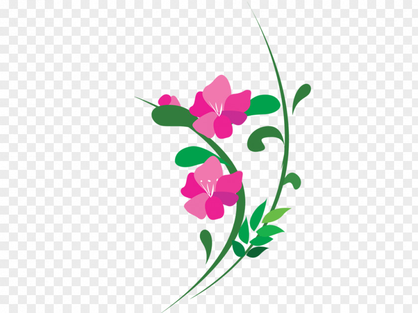 Flowers Cartoon Design Download Floral Flower Image PNG