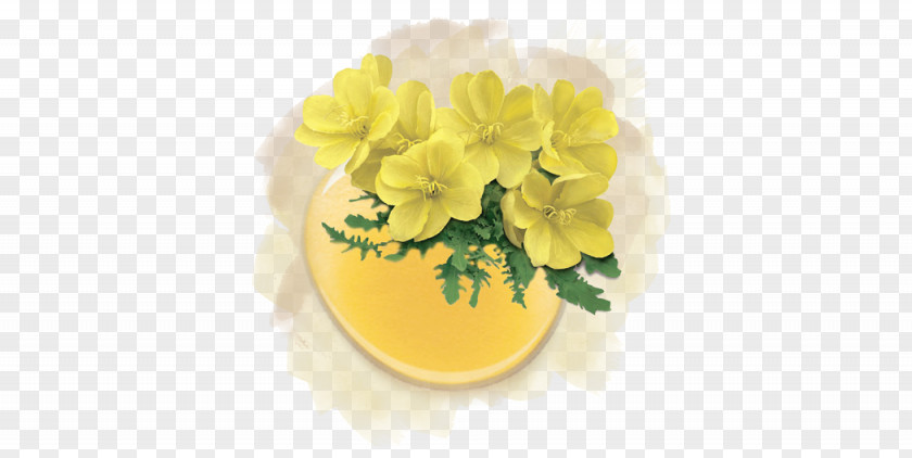 Herbaceous Plant Footwear Yellow Flower Petal PNG