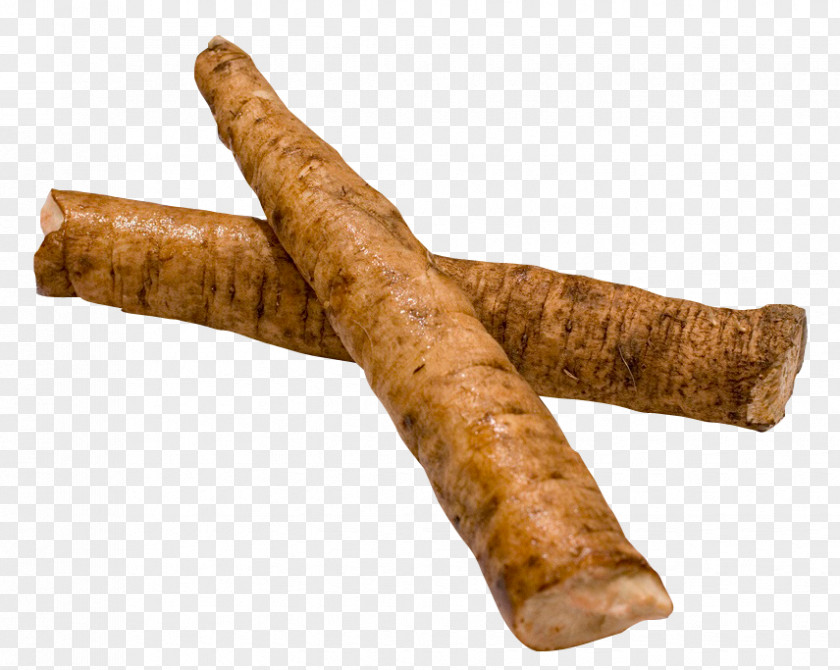 Burdock Root Greater Therapy Disease Plant PNG