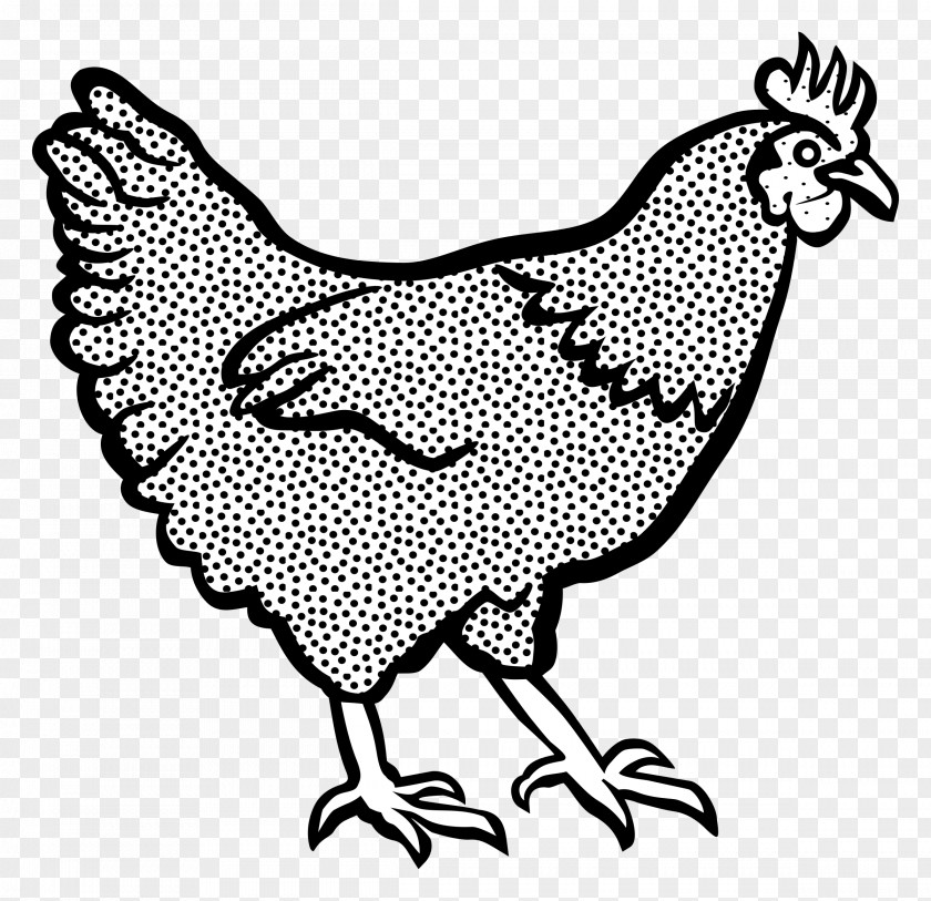Chicken Meat Cochin Leghorn Black And White Clip Art PNG